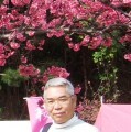記事内の写真