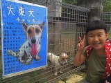 記事内の写真
