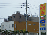 記事内の写真