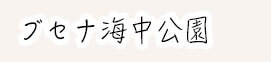 記事内の写真