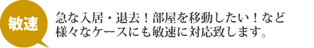 記事内の写真