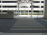 記事内の写真